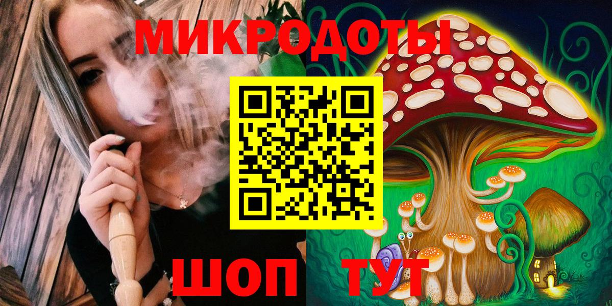 Ртищево  Псилоцибиновые грибы Psilocybine cubensis  Вход с VPN 